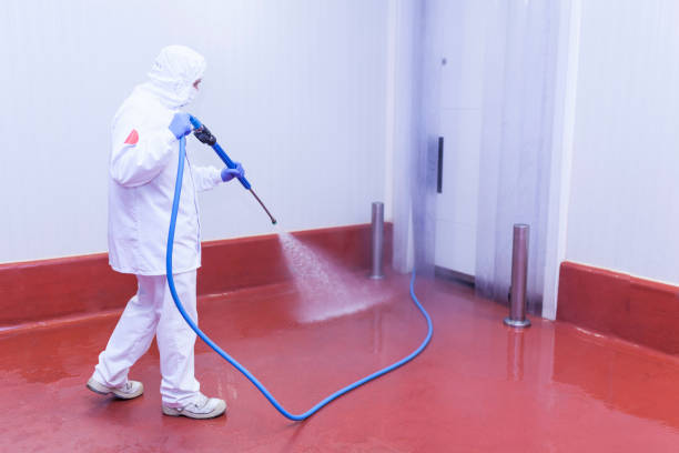 Pre-Holiday Cleaning in Ben Avon, PA